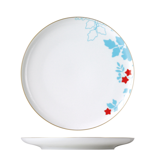 Dinner plate