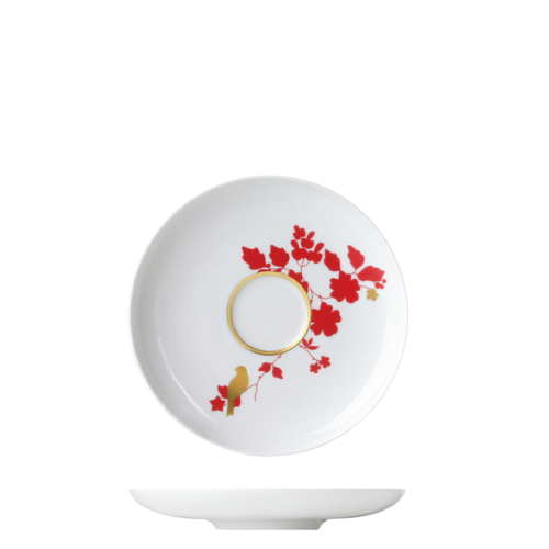 Saucer