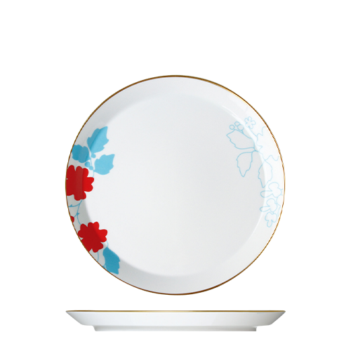 Dinner plate