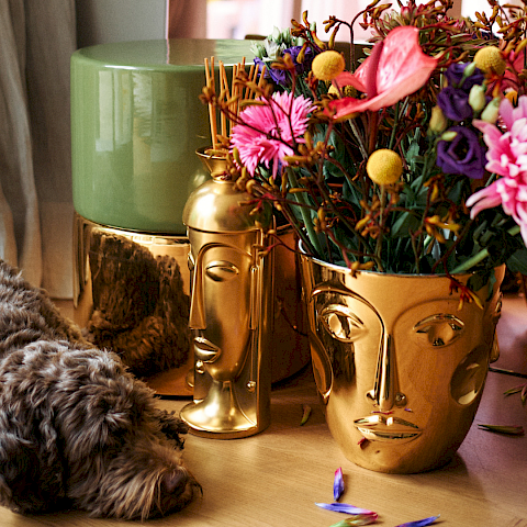 SIEGER auf Instagram