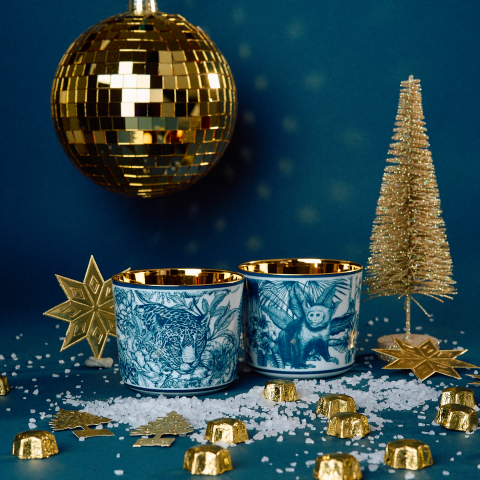 SIEGER auf Instagram