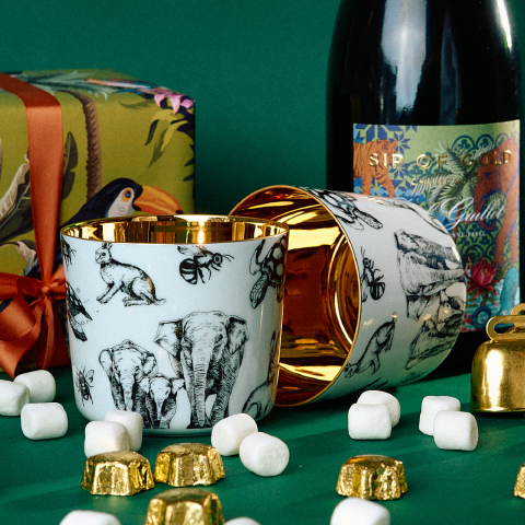 SIEGER auf Instagram