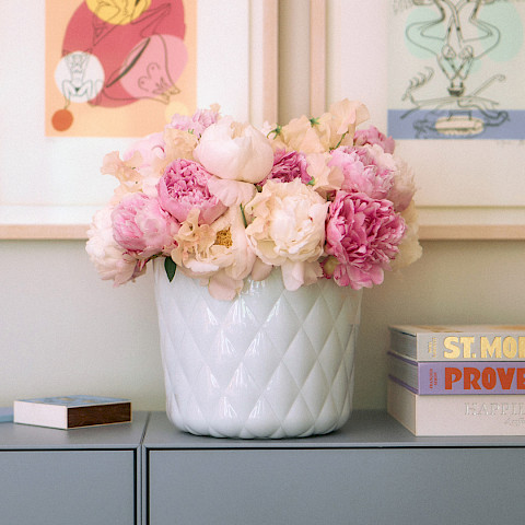 SIEGER auf Instagram