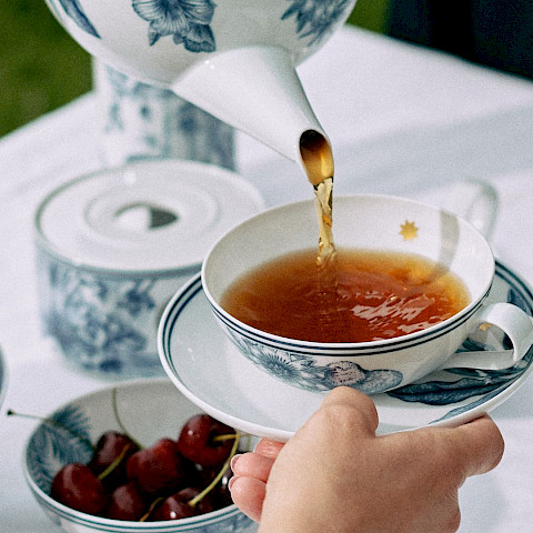 SIEGER auf Instagram