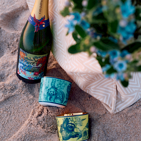 SIEGER auf Instagram