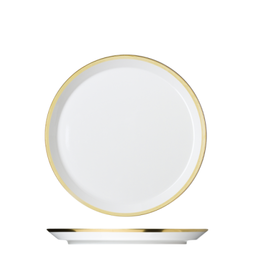 Dinner plate
